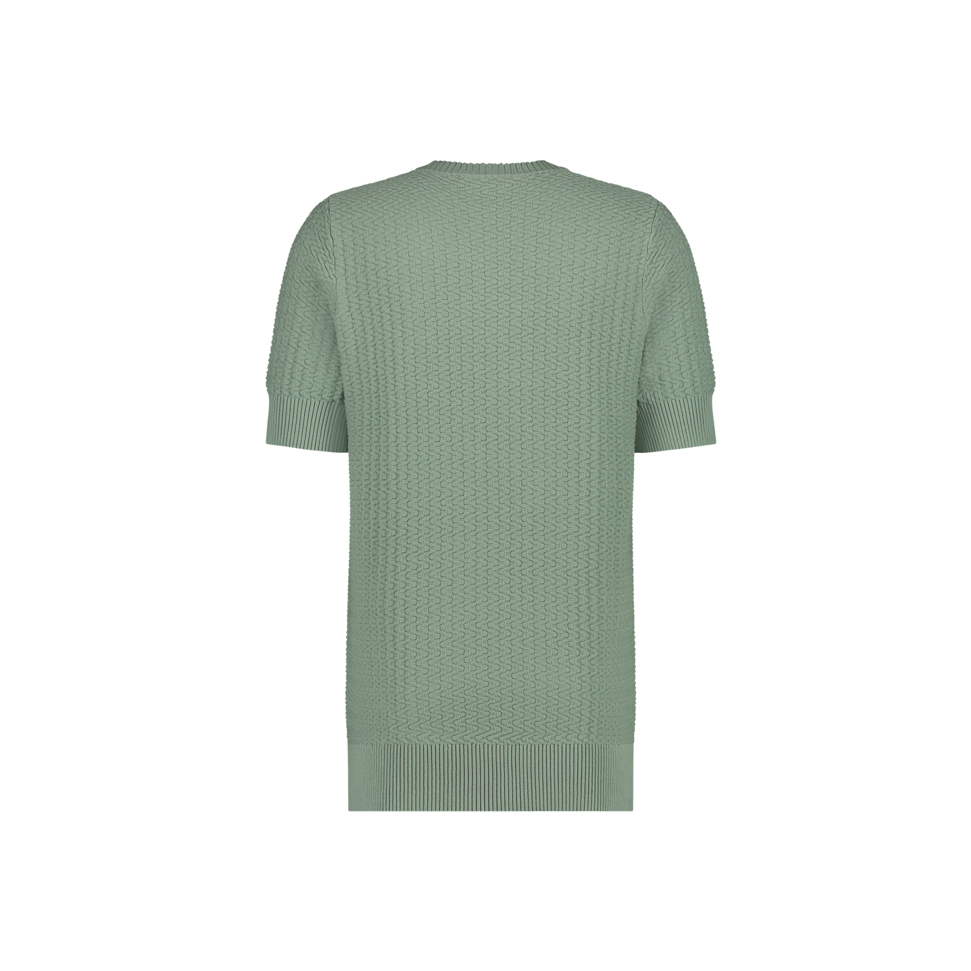 Heren Aeden shirt korte mouw licht groen
