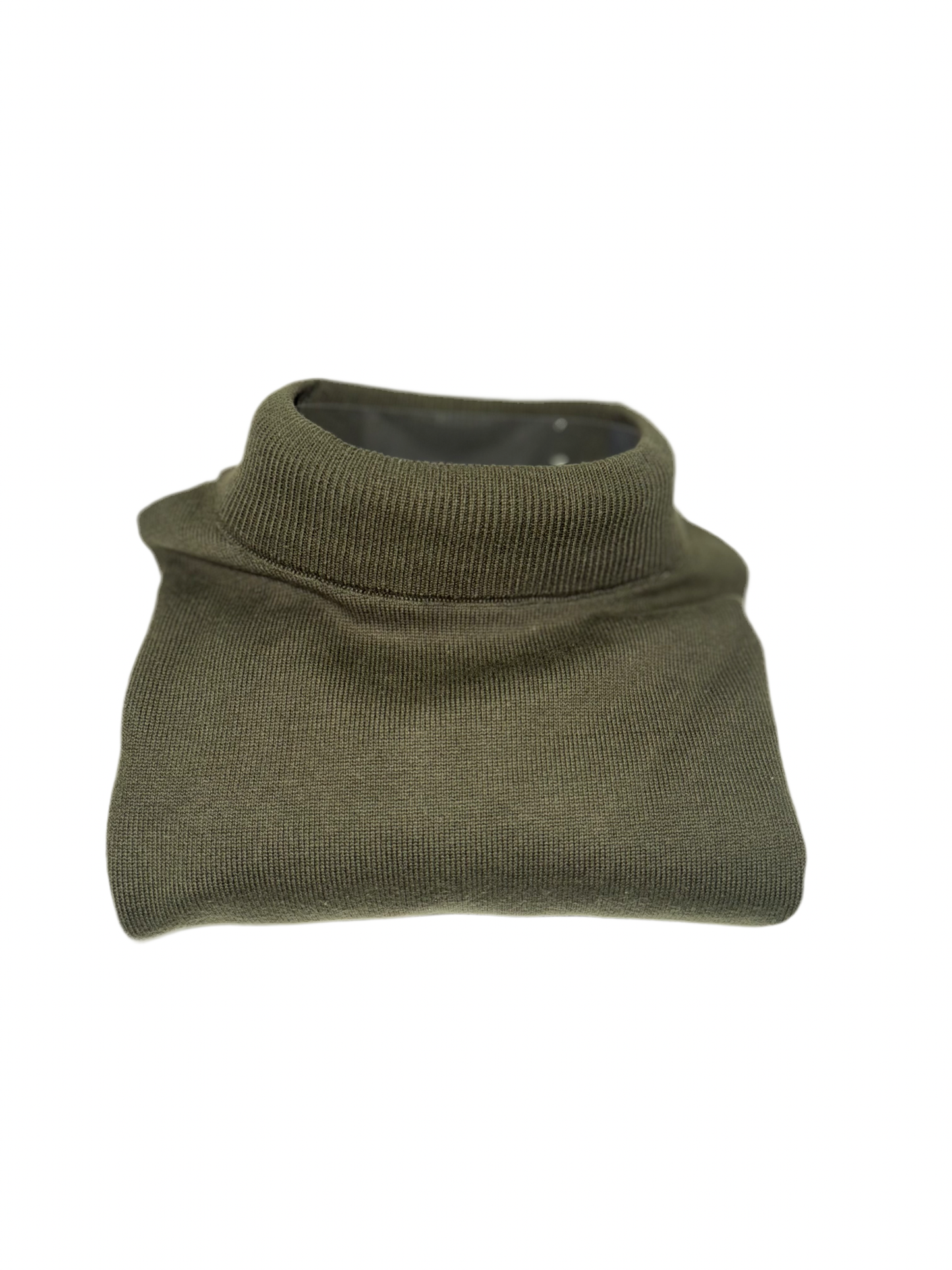 Carter & Davis Trui met Turtleneck, Groen