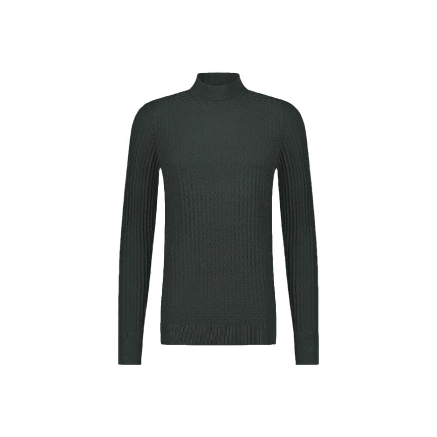 Aeden Aspen turtleneck trui donker grijs