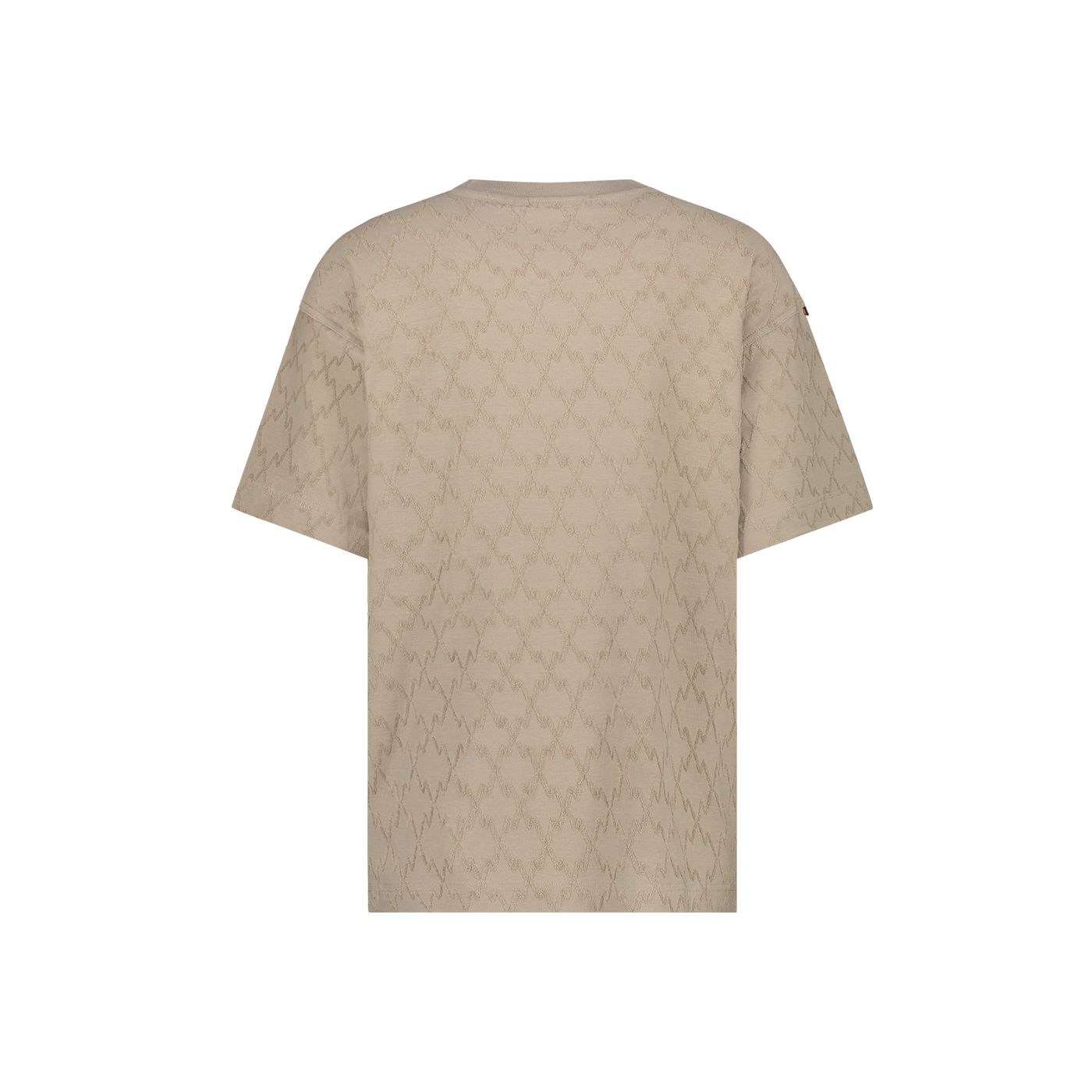 Heren Aeden t-shirt Kimo Taupe
