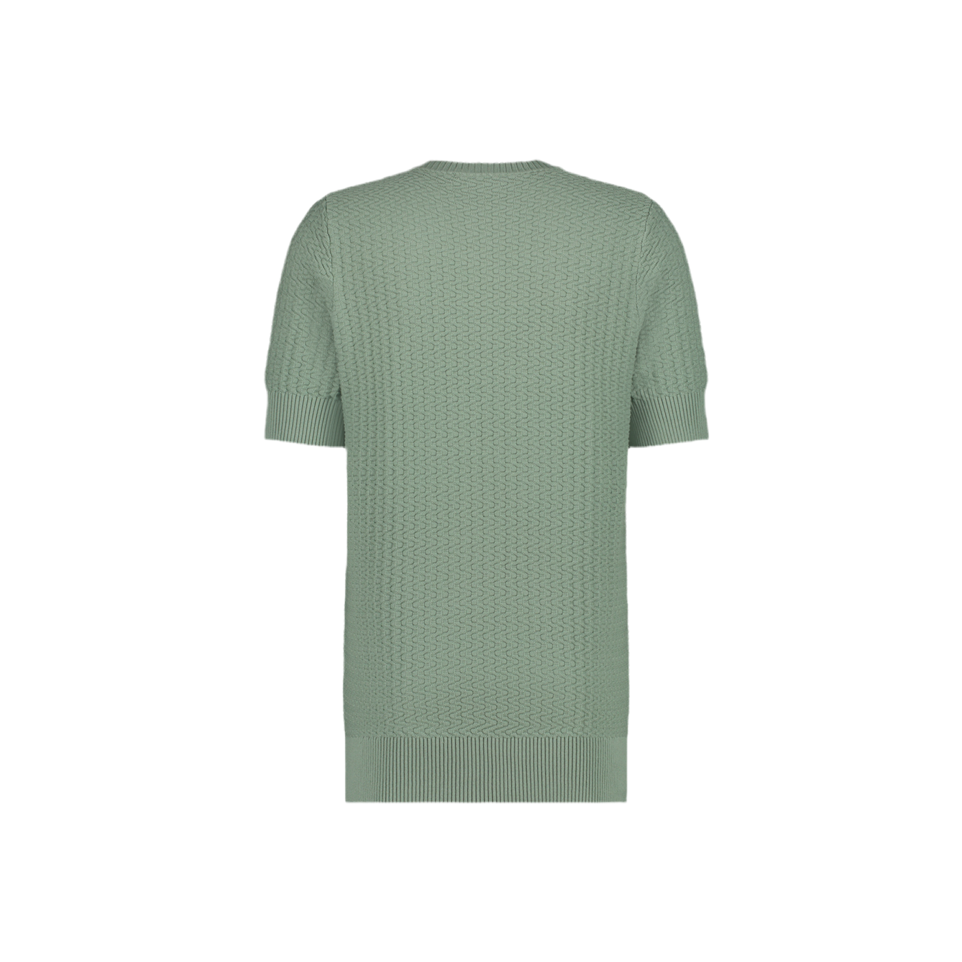 Aeden Heren gebreide t-shirt korte mouw licht groen Maat-L